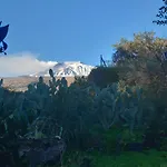 Riccioli Dell' Etna