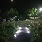 Riccioli Dell' Etna Piedimonte Etneo