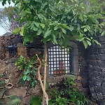 Riccioli Dell' Etna Konukevi