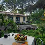 Riccioli Dell' Etna Konukevi Piedimonte Etneo