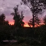 Riccioli Dell' Etna Piedimonte Etneo