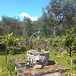 Riccioli Dell' Etna Konukevi Piedimonte Etneo