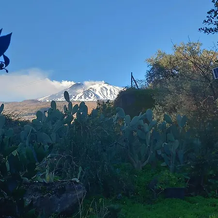Riccioli Dell' Etna