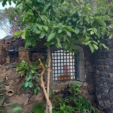 Riccioli Dell' Etna Gasthuis