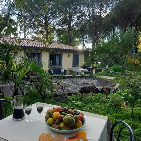 Riccioli Dell' Etna Gasthuis Piedimonte Etneo
