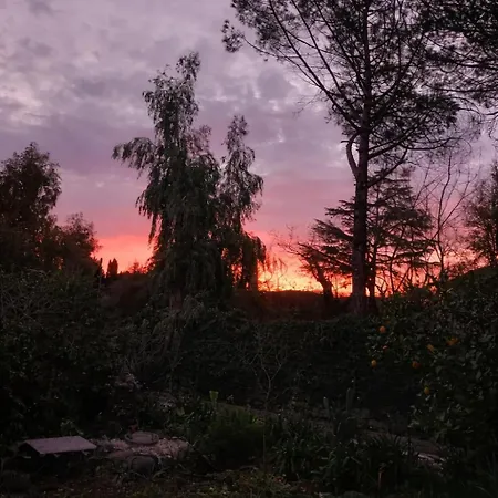 Riccioli Dell' Etna Piedimonte Etneo