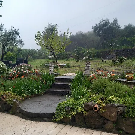 Riccioli Dell' Etna