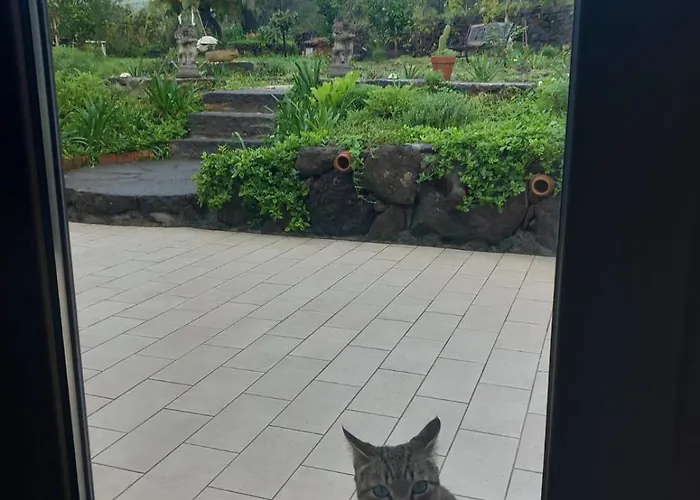 Riccioli Dell' Etna Pensionat 3*