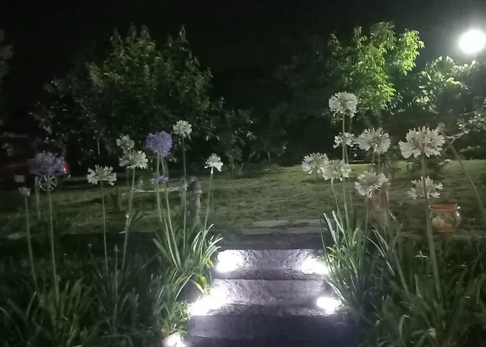 Riccioli Dell' Etna Piedimonte Etneo