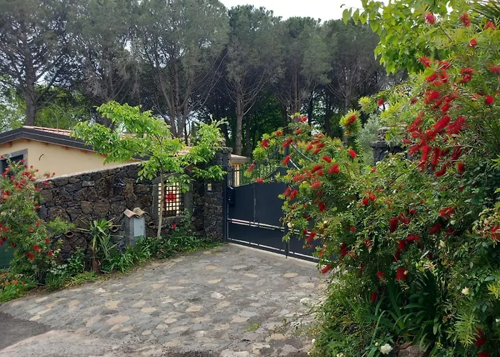 Riccioli Dell' Etna Piedimonte Etneo