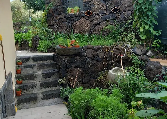 Riccioli Dell' Etna Piedimonte Etneo