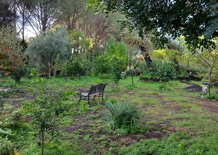 Riccioli Dell' Etna 3* Piedimonte Etneo